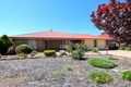 Property photo of 7 Northside Court Evanston Gardens SA 5116