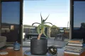 Property photo of 106 Main Road Binalong Bay TAS 7216