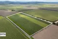 Property photo of 364 Cassar Road Goolboo QLD 4856
