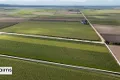 Property photo of 364 Cassar Road Goolboo QLD 4856