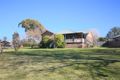 Property photo of 160 Pelham Street Tenterfield NSW 2372
