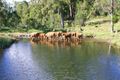 Property photo of 20B Colvin Road Canungra QLD 4275