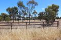 Property photo of LOT 230 Dowerin-Meckering Road Meckering WA 6405