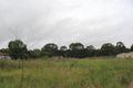 Property photo of 1477 Herbert Street Angus NSW 2765