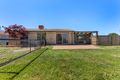 Property photo of 4 Tuckett Place Calwell ACT 2905