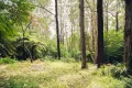 Property photo of 9 Doughtys Road Kalorama VIC 3766