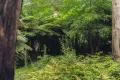 Property photo of 9 Doughtys Road Kalorama VIC 3766