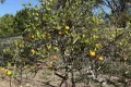 Property photo of 129 Princes Highway Bodalla NSW 2545