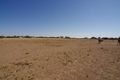 Property photo of 76 Collins Road East Moonta SA 5558