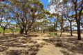 Property photo of 100 Second Avenue Kendenup WA 6323