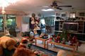 Property photo of 6 Foxhill Place Banora Point NSW 2486