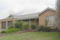 Property photo of 7 Eagle Court Blind Bight VIC 3980