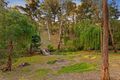 Property photo of 110 McGowans Road Donvale VIC 3111