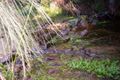 Property photo of 173 Spring Creek Road Wamban NSW 2537