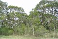 Property photo of York Road Angus NSW 2765