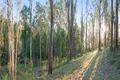 Property photo of 379 Avoca Drive Green Point NSW 2251