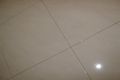 Property photo of 24 Firethorn Retreat Mirrabooka WA 6061