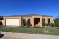 Property photo of 81 Featherhead Way Harkness VIC 3337