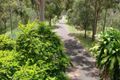 Property photo of 43 Jersey Road Tamborine QLD 4270