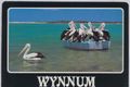 Property photo of 48 Akonna Street Wynnum QLD 4178
