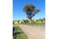 Property photo of 205 Jennings Lane Molong NSW 2866