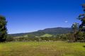 Property photo of 5 Free Selectors Road Foxground NSW 2534