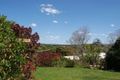 Property photo of 24 Charlotte Street Bangalow NSW 2479