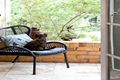Property photo of 6 Beddoe Avenue Bentleigh East VIC 3165