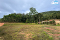 Property photo of 9 Langtree Street Gordonvale QLD 4865