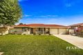 Property photo of 10 Beryl Street Balcatta WA 6021