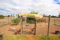 Property photo of 54 Jones Road Glossop SA 5344