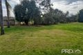 Property photo of 58 Hollins Road Red Cliffs VIC 3496