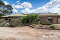 Property photo of 41 Hallett Street Callington SA 5254