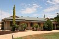 Property photo of 231 Newton Road Loxton SA 5333
