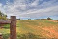 Property photo of 257 Hunt Road Barmera SA 5345