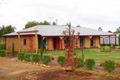 Property photo of 12 Montgomery Court Strathalbyn SA 5255