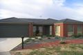Property photo of 7 Dylan Drive Hastings VIC 3915