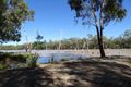 Property photo of 12317 Carnarvon Highway St George QLD 4487