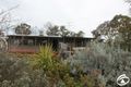 Property photo of 310 Bocobra Road Manildra NSW 2865