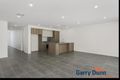 Property photo of 23 Indigo Crescent Denham Court NSW 2565