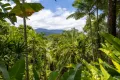 Property photo of 9 Coral Sea Drive Mossman Gorge QLD 4873