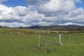 Property photo of 173 Strip Road Little Swanport TAS 7190