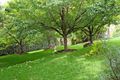 Property photo of 2 Shasta Way Portsea VIC 3944