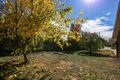 Property photo of 16 Ophir Street Orange NSW 2800