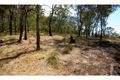 Property photo of 446 Singleton Road Laughtondale NSW 2775