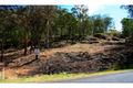 Property photo of 446 Singleton Road Laughtondale NSW 2775