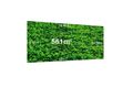 Property photo of 89 Stagecoach Boulevard South Morang VIC 3752