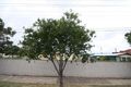 Property photo of 33 Overland Road Croydon Park SA 5008