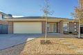Property photo of 8 Watagan Street Tarneit VIC 3029