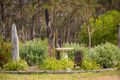 Property photo of 217 Newpark Road Brogo NSW 2550